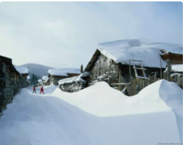 ♚小巴豆~贪财好色.主播照片