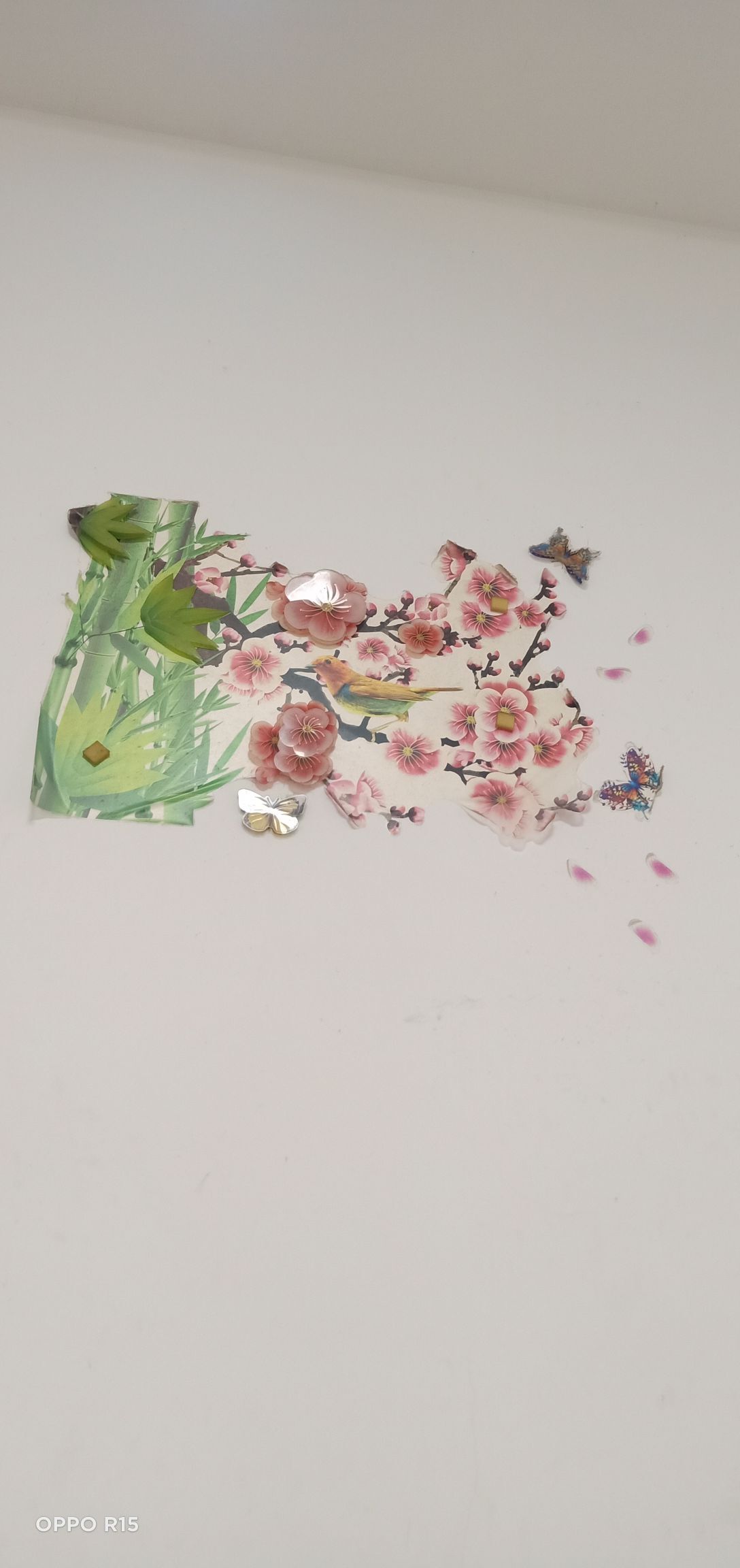 胆量小的华主播照片