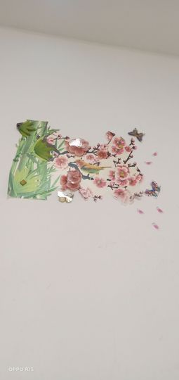 胆量小的华主播照片