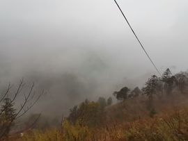 凑美没人爱主播照片