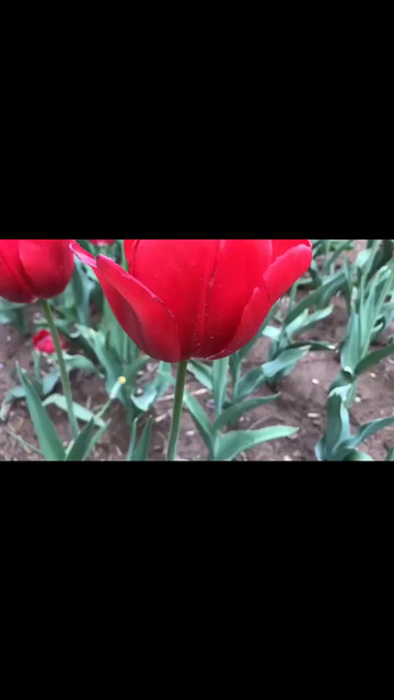 点赞