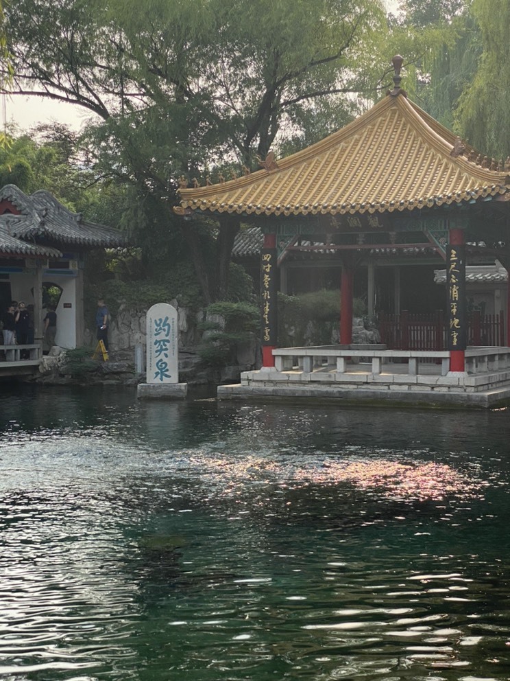 佳琦佳期的图片