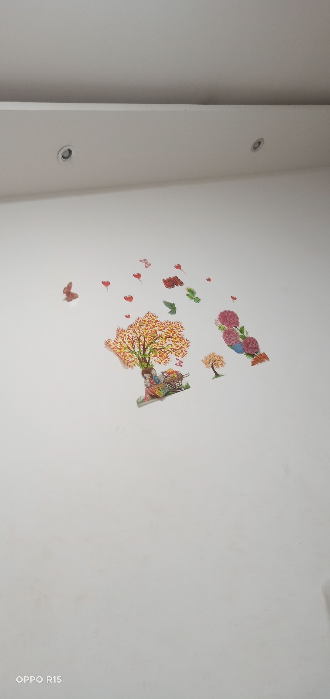 胆量小的华主播照片