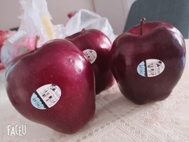 ♬♪百音百顺♪♬主播照片