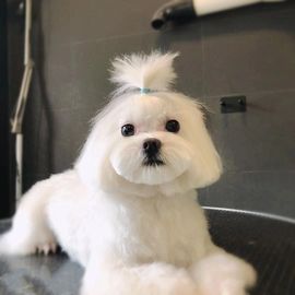 ✨我白.77411✨主播照片