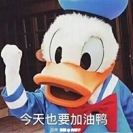 你ღ果然ღ是老板主播照片