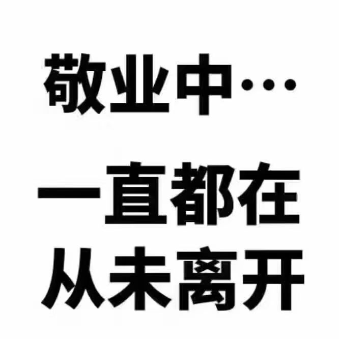 安琪同学的图片