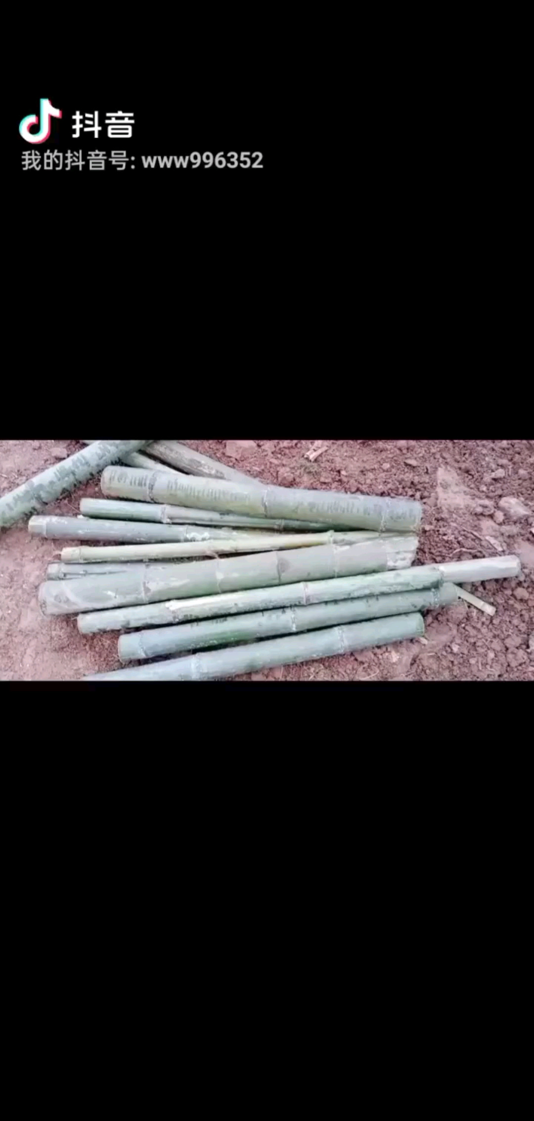 竹篱笆