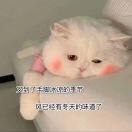 YL7z的头像