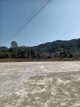妮妮娜1主播照片