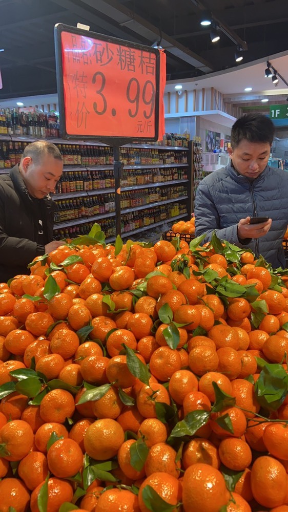 夋夋休息的图片