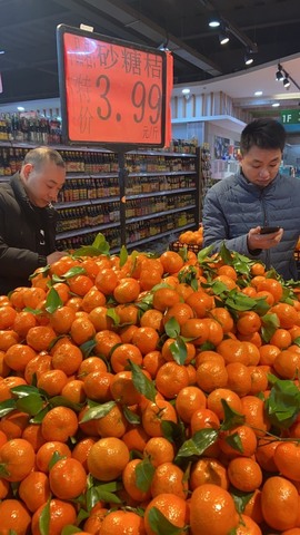 夋夋休息的图片