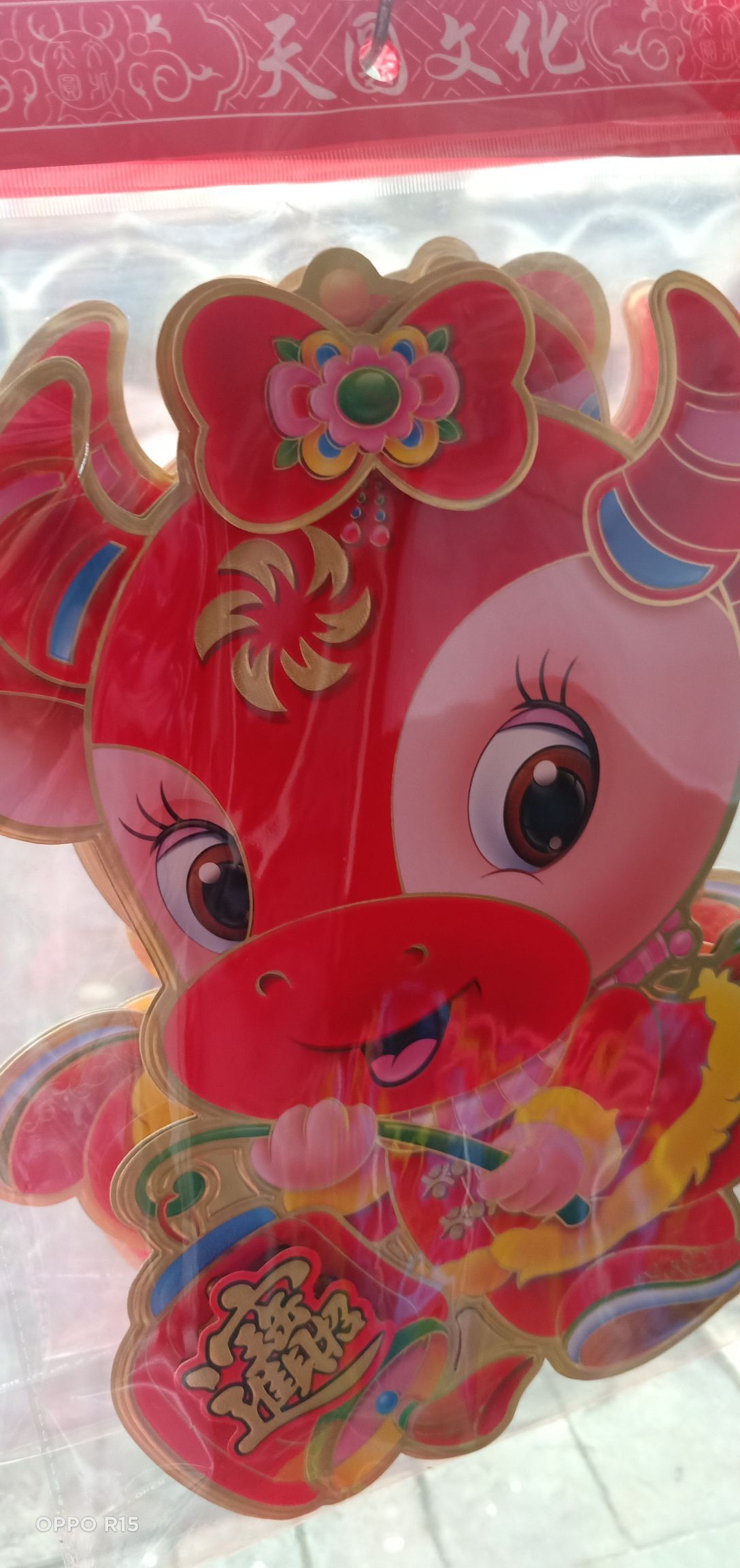 胆量小的华主播照片