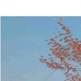 你ღ果然ღ是老板主播照片