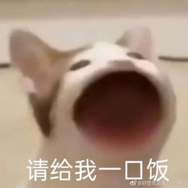崽崽🧸停主播照片