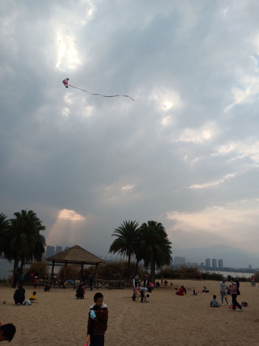 🎶琴儿🎶涅槃重生的图片