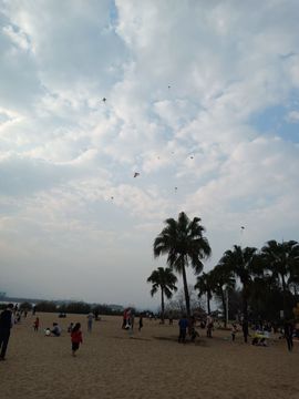 🎶琴儿幸福满满🎶的图片