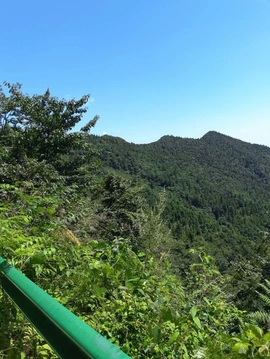 唯爱🌺小艾主播照片