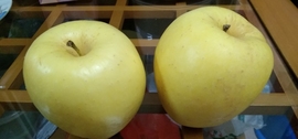 ☆叁☆爷☆主播照片