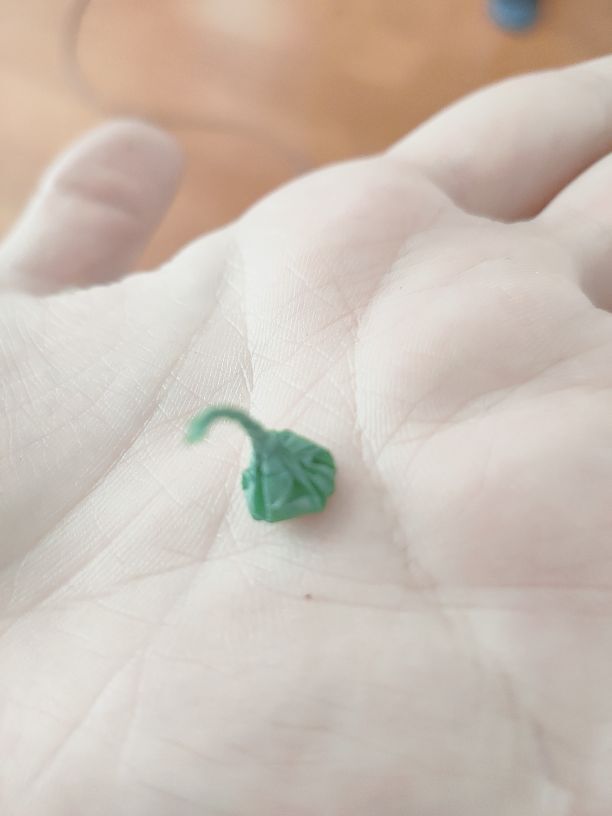 馨小艺🎀吉祥如艺的图片