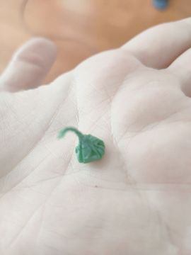 馨小艺🎀主播照片