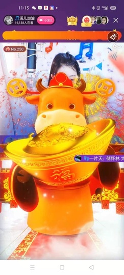 🎵小邓丽君🌺溪儿主播照片