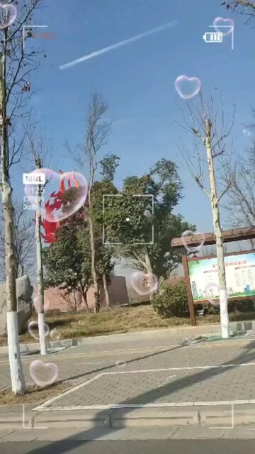 梦心已在回老家的路上