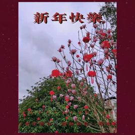 兰之芯🍁主播照片