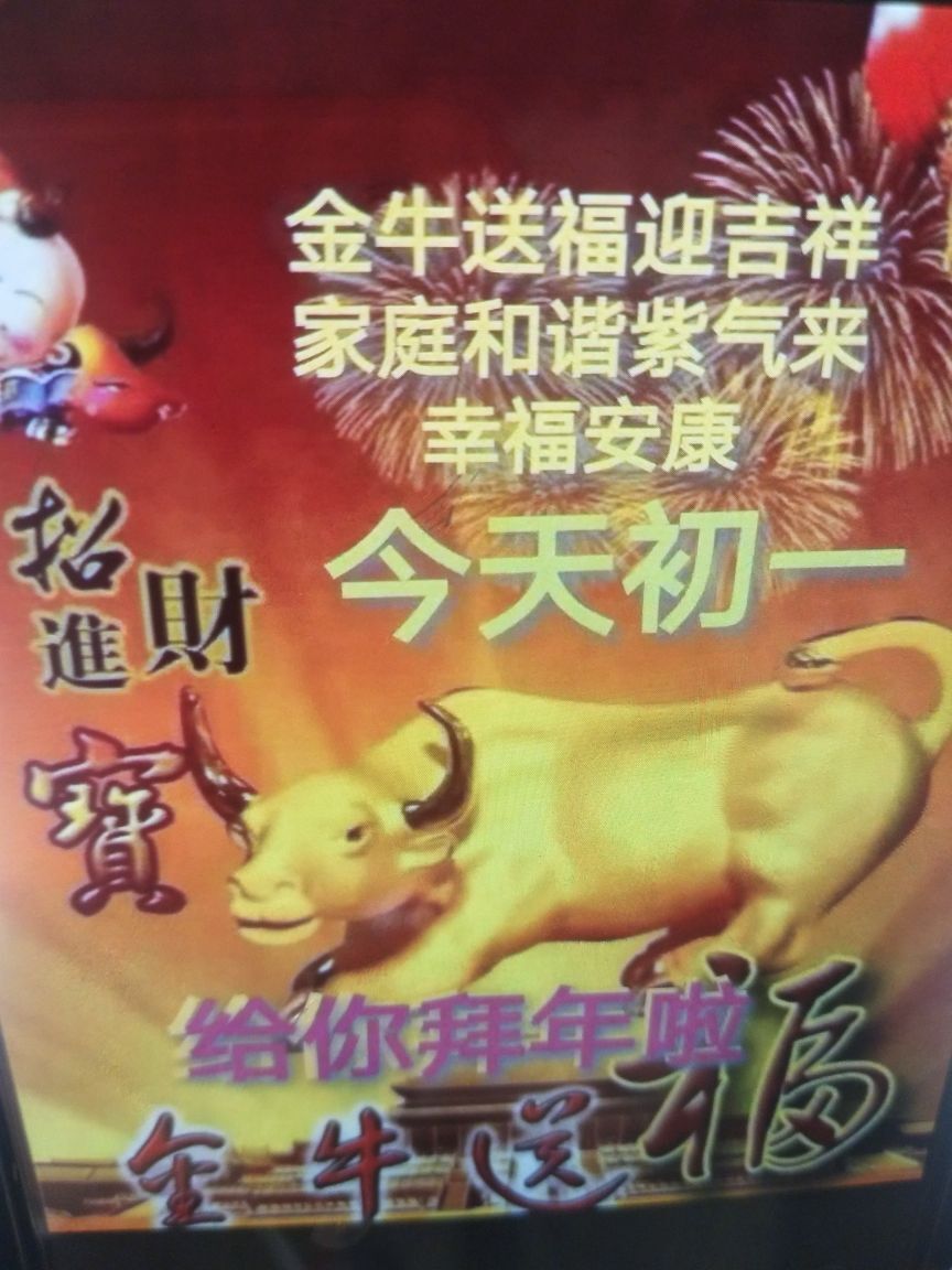 m青青子衿主播照片
