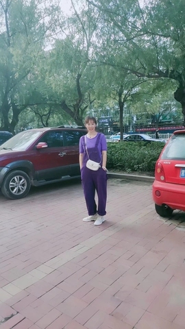 东北老阿姨主播照片