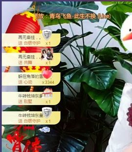 雪儿众筹求升级🍀主播照片