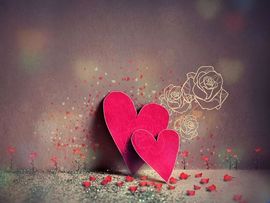 开心❤️❤️果主播照片