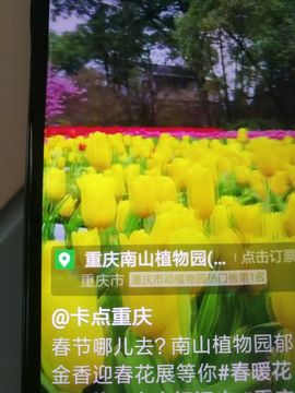 m161149740主播照片