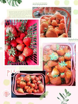 陈一🐰主播照片