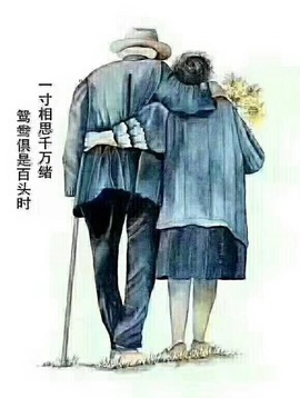社会💞夭夭（退）主播照片