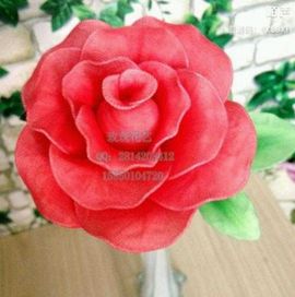 王龙哥🌹🌹🌹主播照片