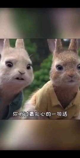 走时心如止水的图片