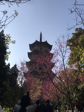 🌻ℱ七-安静唱歌主播照片