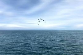 დ释怀დ主播照片