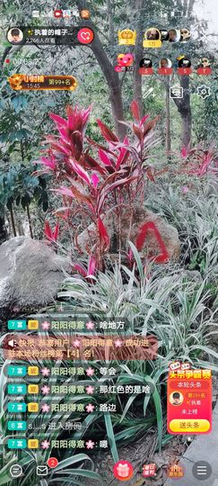 🌈【镹🉐䒚哖】主播照片