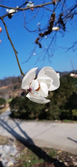 唯爱🌺小艾主播照片