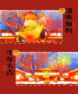 萌小喵❤️主播照片