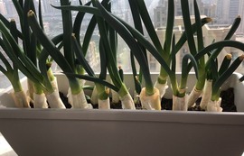 心动ぐつ媚儿主播照片