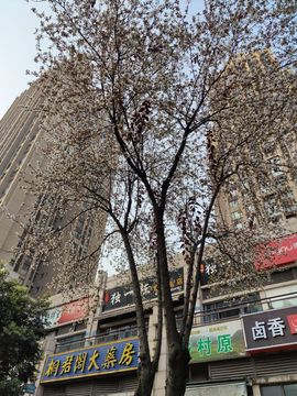 凑美没人爱主播照片