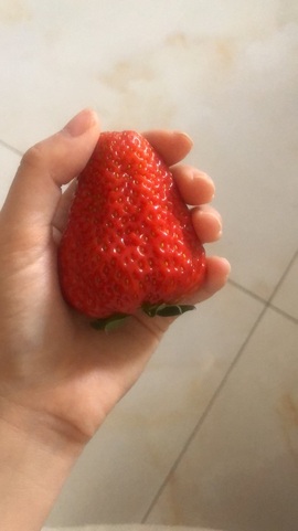 🎵小邓丽君🌺溪儿主播照片