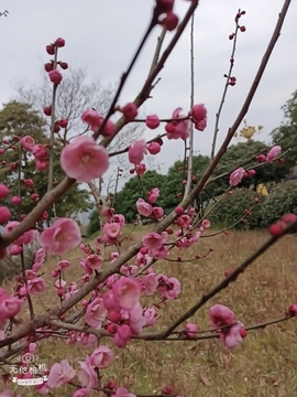 云☆音主播照片