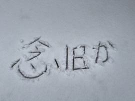 三三哟主播照片