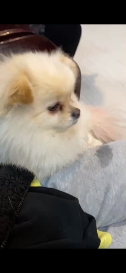鑫儿～主播照片