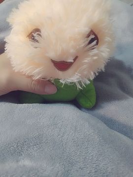 璐璐已换号播哈主播照片