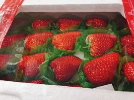 美妞ღ美美美！主播照片